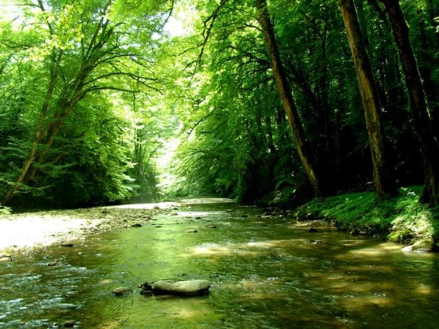 تور شیرگاه 10 مهر